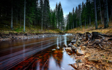 Картинка природа реки озера река лес