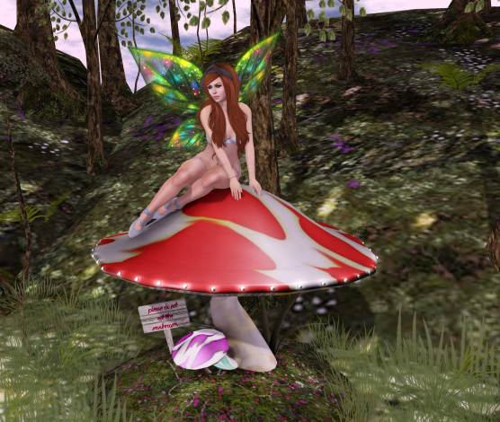 Обои картинки фото 3д графика, эльфы , elves, взгляд, фон, фея