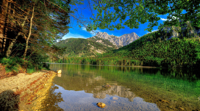 Обои картинки фото природа, реки, озера, лес, река