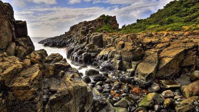 Обои картинки фото природа, побережье, лес, река