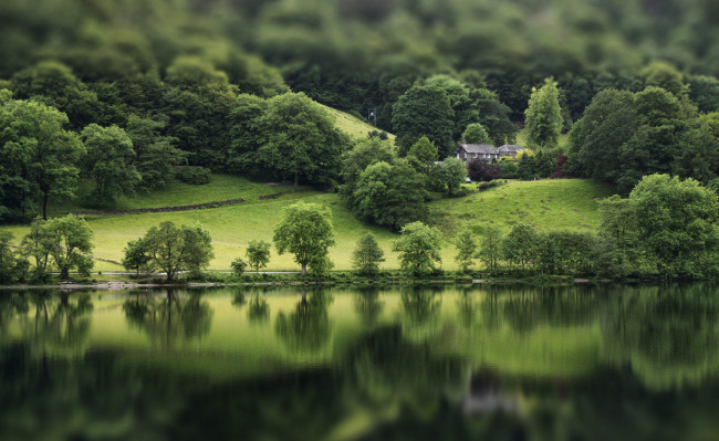 Обои картинки фото природа, реки, озера, лес, река