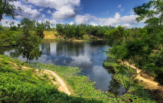 Обои картинки фото природа, реки, озера, река, лес