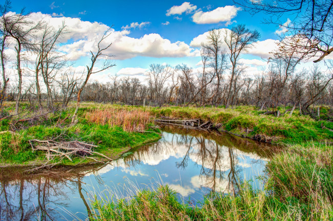 Обои картинки фото природа, реки, озера, лес, река