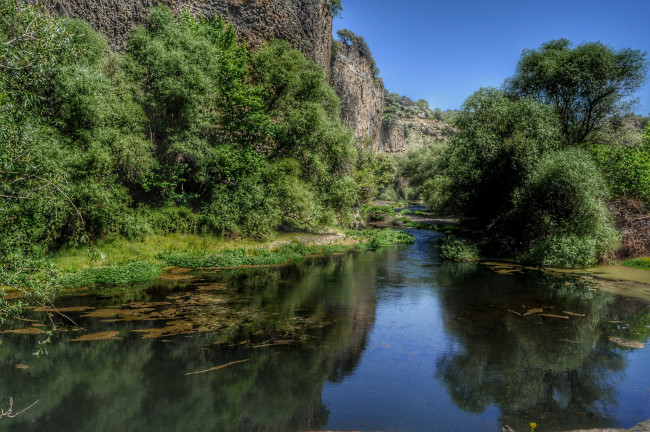 Обои картинки фото природа, реки, озера, лес, река