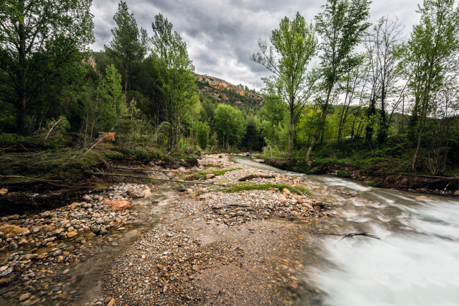 Обои картинки фото природа, реки, озера, река, лес