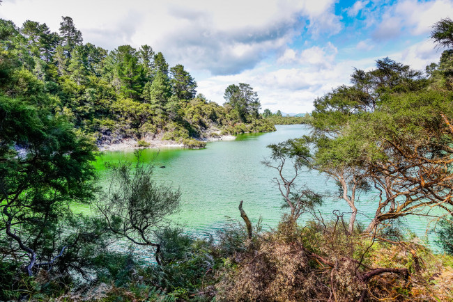 Обои картинки фото природа, реки, озера, река, лес