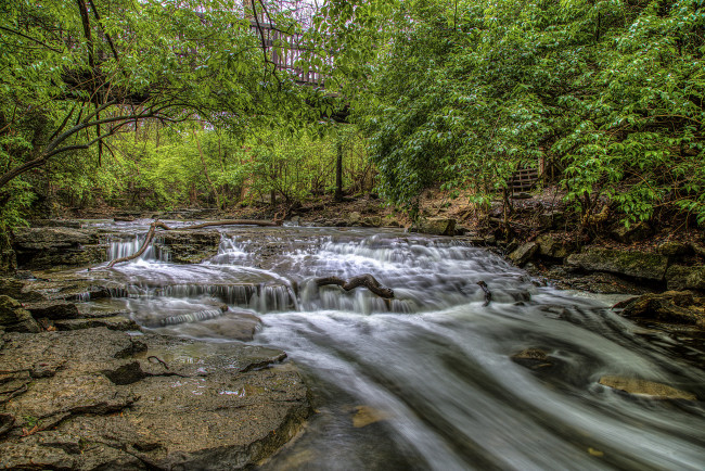 Обои картинки фото природа, реки, озера, река, лес