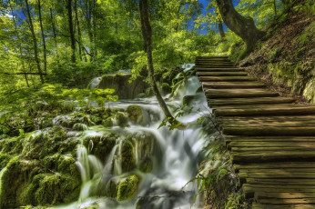 Картинка природа реки озера плитвицкие хорватский национальный парк