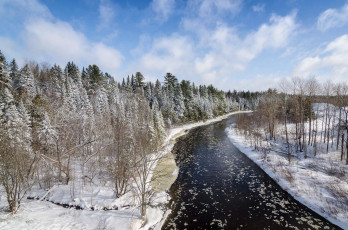 Картинка природа реки озера лес река зима пейзаж деревья