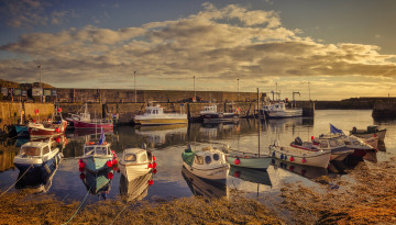 обоя корабли, разные вместе, плавсредство