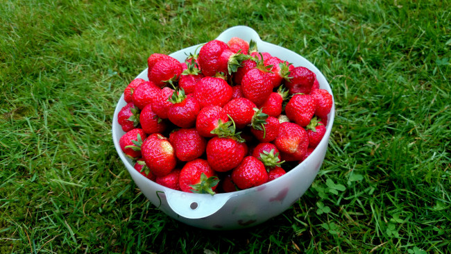 Обои картинки фото еда, клубника,  земляника, ягоды