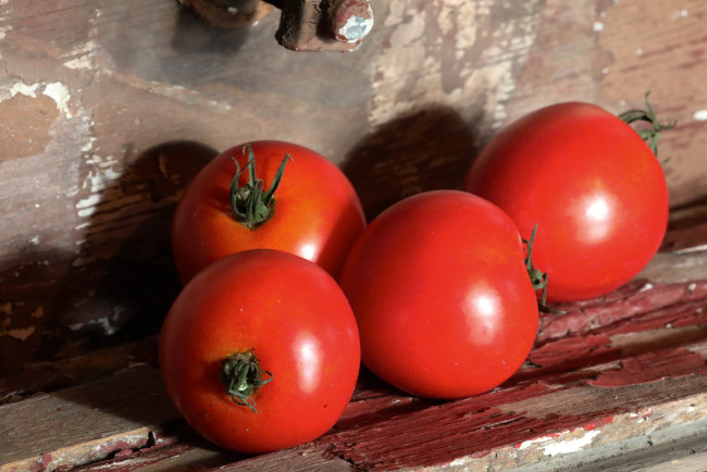 Обои картинки фото еда, помидоры, томаты