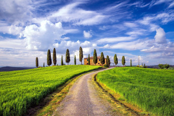 Картинка природа дороги поля облака дорога проселочная