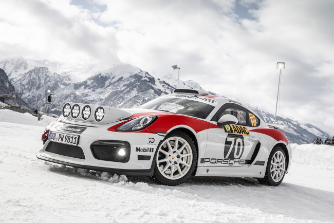 Обои картинки фото автомобили, porsche