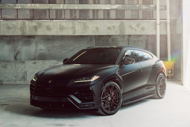 Обои картинки фото lamborghini urus, автомобили, lamborghini, urus, мощный, и, быстрый, бык, на, стероидах