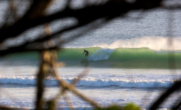 обоя спорт, серфинг, ветки, серфер, серф, море, волна