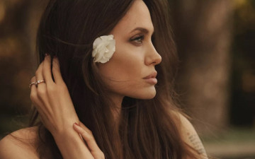 Картинка девушки angelina+jolie профиль