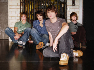 обоя rooster, музыка