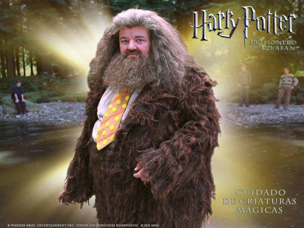 Обои картинки фото harry, potter, and, the, prisoner, of, azkaban, кино, фильмы