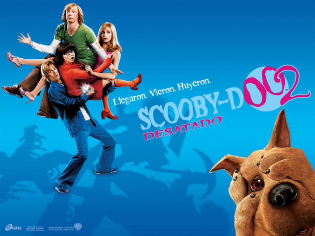 Обои картинки фото scooby, doo, monsters, кино, фильмы, unleashed