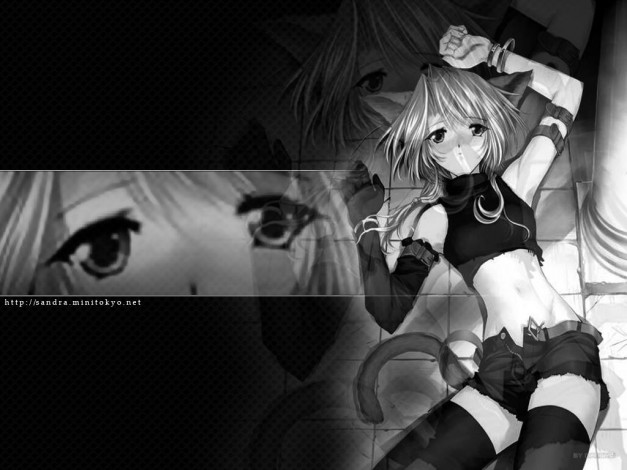 Обои картинки фото аниме, animals