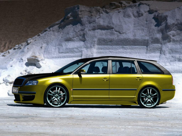 Обои картинки фото автомобили, skoda