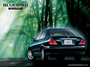 Картинка автомобили nissan datsun