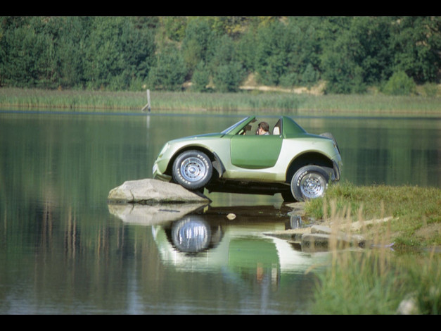 Обои картинки фото автомобили, cardi