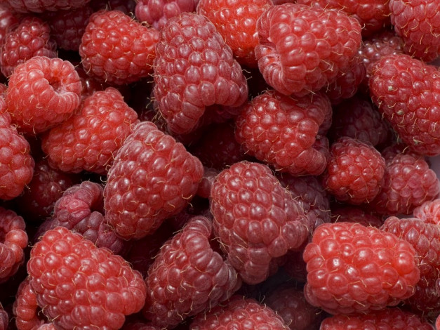 Обои картинки фото еда, малина