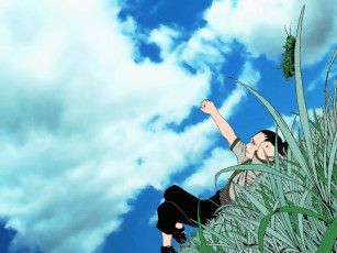 Картинка аниме naruto shikamaru