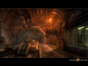 Картинка natural selection видео игры