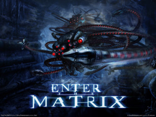Картинка видео игры enter the matrix