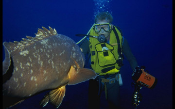 Картинка мужчины unsort