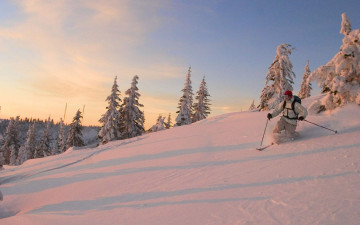 Картинка спорт лыжный