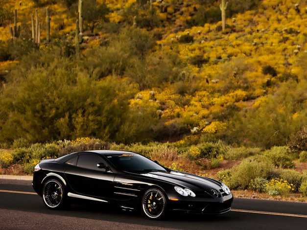 Обои картинки фото автомобили, mercedes, benz