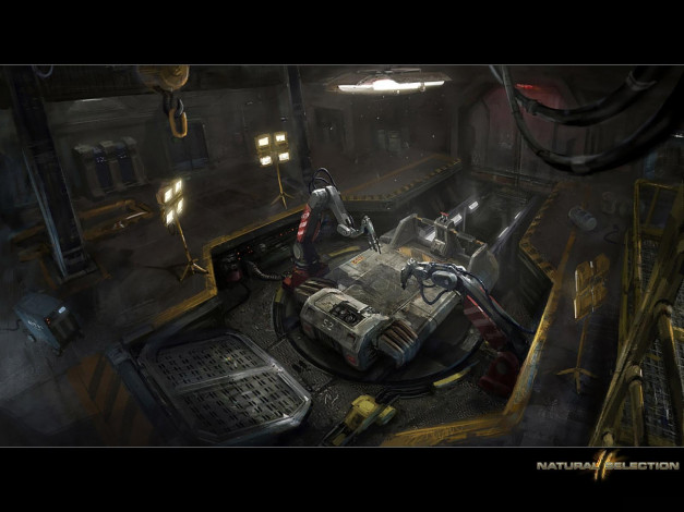 Обои картинки фото natural, selection, видео, игры