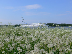 Картинка корабли теплоходы