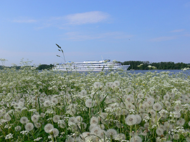 Обои картинки фото корабли, теплоходы