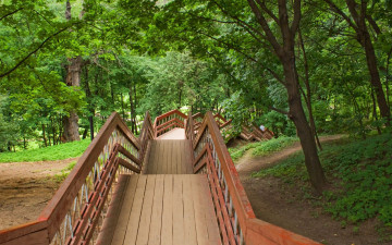 Картинка природа парк дерево перила лестница