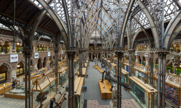 Картинка pitt+rivers+museum +oxford интерьер дворцы +музеи музей