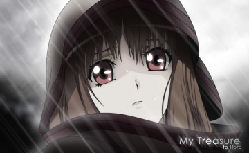 Картинка аниме spice+and+wolf взгляд лицо дождь девушка арт horo spice and wolf