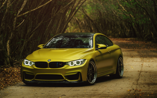 Обои картинки фото автомобили, bmw, m4, austin, yellow