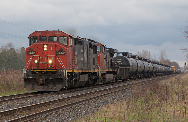 Обои картинки фото техника, поезда, железная, дорога, рельсы, локомотив, состав