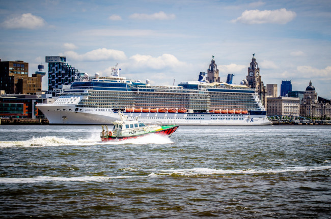 Обои картинки фото celebrity silhouette, корабли, лайнеры, лайнер, круизный