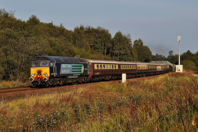 Обои картинки фото техника, поезда, железная, дорога, рельсы, локомотив, состав