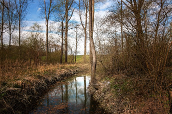 Картинка природа реки озера лес река