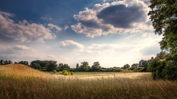 Картинка природа пейзажи лето