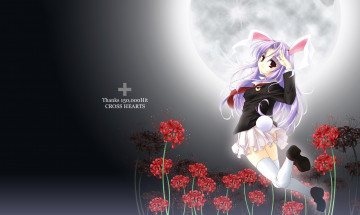 Картинка аниме touhou фон взгляд девушка