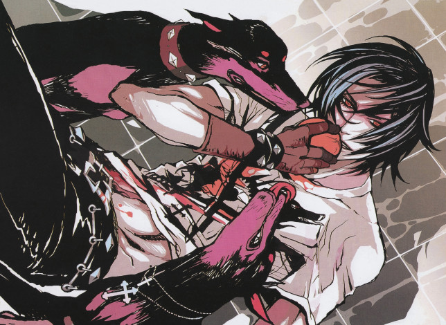 Обои картинки фото аниме, togainu no chi, парень, собаки