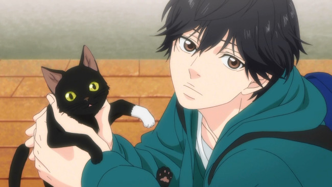 Обои картинки фото аниме, ao haru ride, ao, haru, ride, mabuchi, ko, screenshot, male, cat